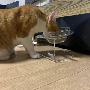 베스트 후기 이미지