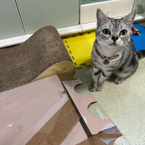 베스트 후기 이미지