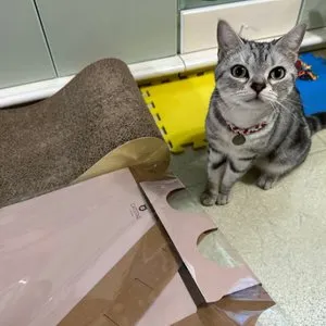 베스트 후기 이미지