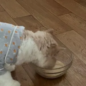 베스트 후기 이미지