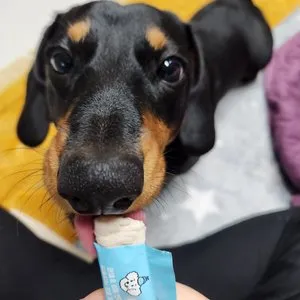 베스트 후기 이미지