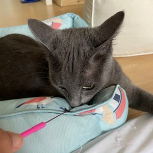 베스트 후기 이미지