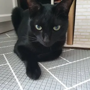 베스트 후기 이미지