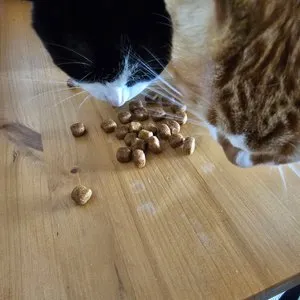 베스트 후기 이미지