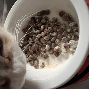 베스트 후기 이미지