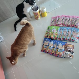 베스트 후기 이미지