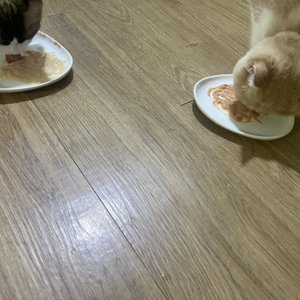 베스트 후기 이미지