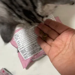 베스트 후기 이미지