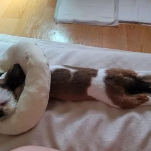 베스트 후기 이미지