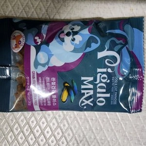 비갈로 맥스 독 관절건강 플러스 1kg 베스트 후기 이미지