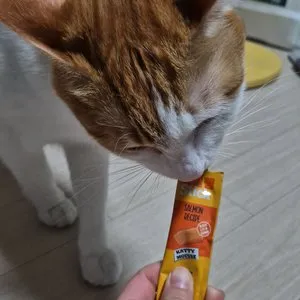 베스트 후기 이미지