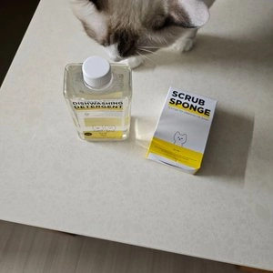 [추가증정] 써니데이즈 냄새없는 주방세제 + 전용 수세미 증정 베스트 후기 이미지