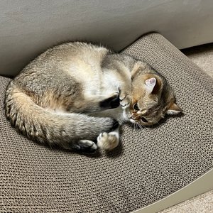 베스트 후기 이미지