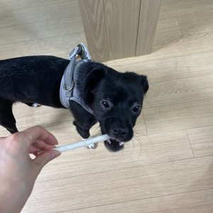 베스트 후기 이미지