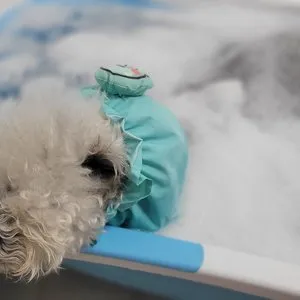 베스트 후기 이미지