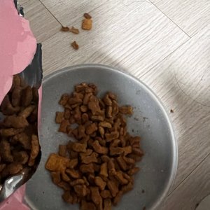 베스트 후기 이미지