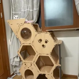 베스트 후기 이미지