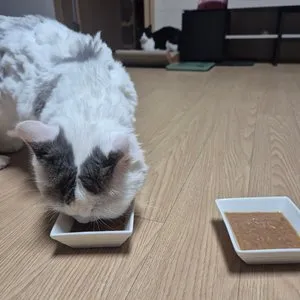 베스트 후기 이미지