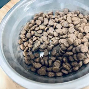 베스트 후기 이미지