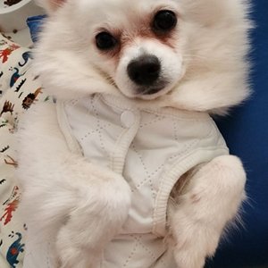 베스트 후기 이미지