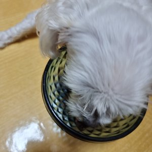 베스트 후기 이미지