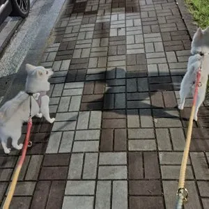 베스트 후기 이미지