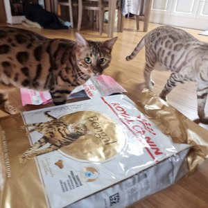 베스트 후기 이미지