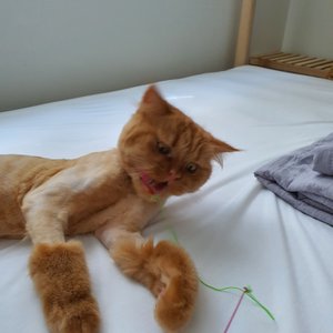 베스트 후기 이미지