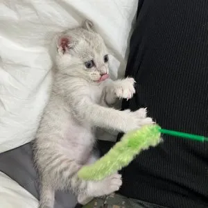 베스트 후기 이미지