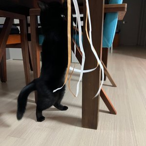 베스트 후기 이미지