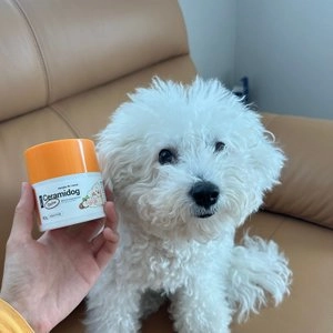 [무료배송] 정글몬스터 세라마이독 밤 40g 베스트 후기 이미지