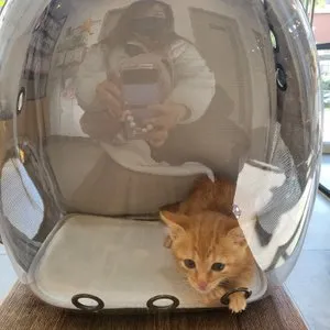 베스트 후기 이미지