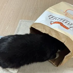 베스트 후기 이미지