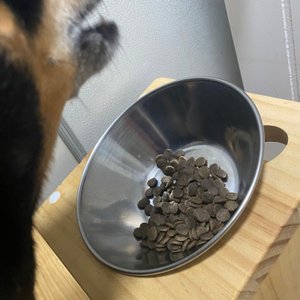 베스트 후기 이미지