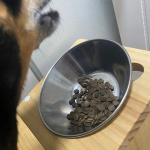 몬지 독 비와일드 그레인프리 미니 어덜트 멸치 2.5kg 베스트 후기 이미지