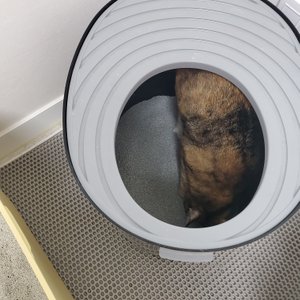 베스트 후기 이미지