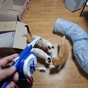 베스트 후기 이미지