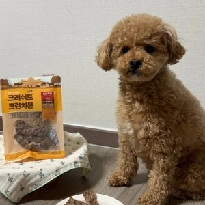 어니스트팩토리 크러쉬드 크런치본 크크본 닭목뼈 180g 베스트 후기 이미지