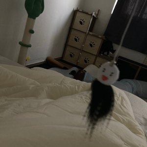 베스트 후기 이미지