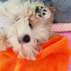 베스트 후기 이미지