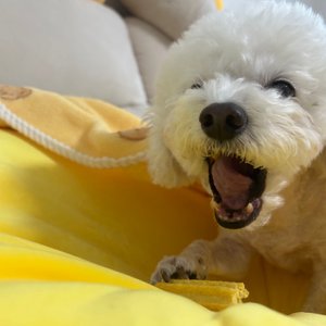 베스트 후기 이미지