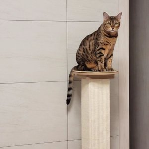 베스트 후기 이미지