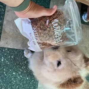 베스트 후기 이미지