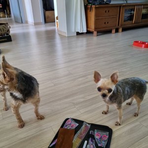 베스트 후기 이미지