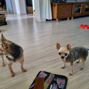 베스트 후기 이미지