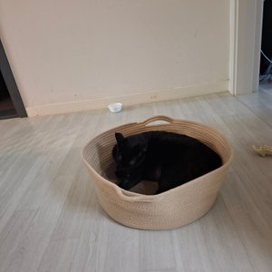 베스트 후기 이미지