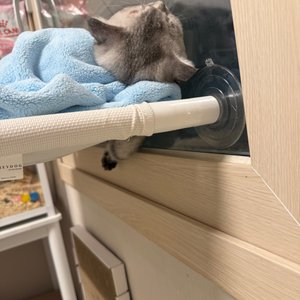베스트 후기 이미지