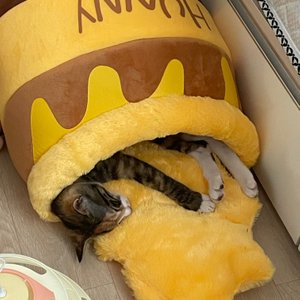 베스트 후기 이미지