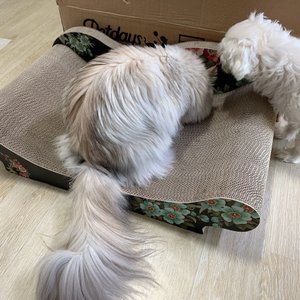 베스트 후기 이미지