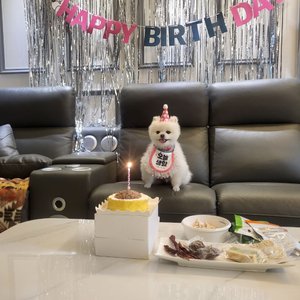 베스트 후기 이미지